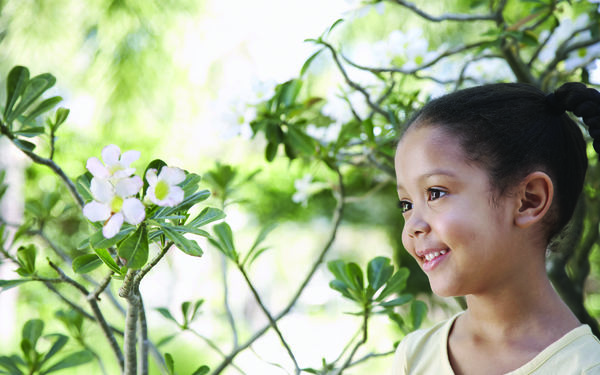 Out & About: Searching for Spring Blooms in the Bay