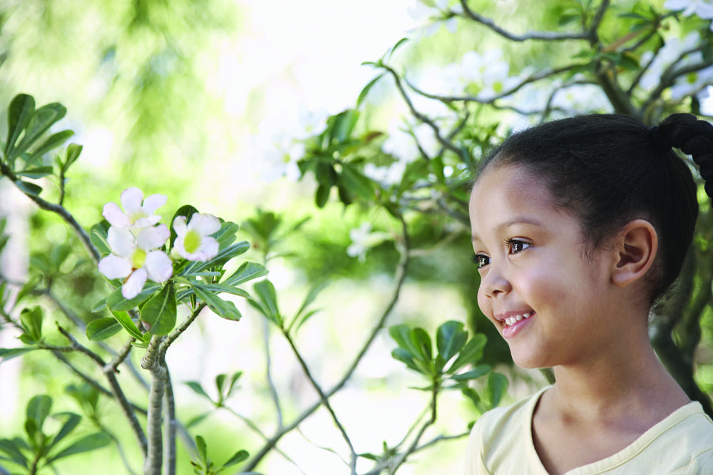 Out & About: Searching for Spring Blooms in the Bay