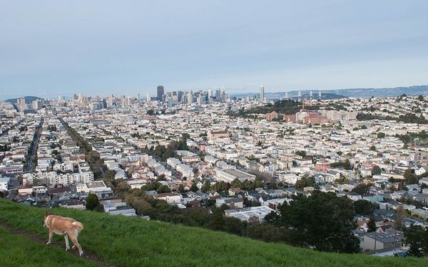 Out & About Lil’ Kid: Bernal Heights