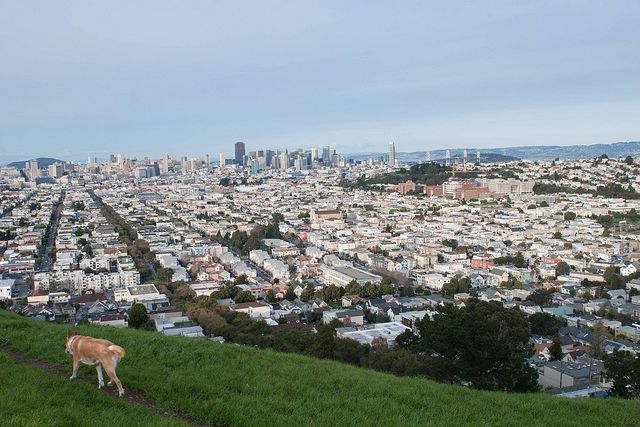 Out & About Lil’ Kid: Bernal Heights