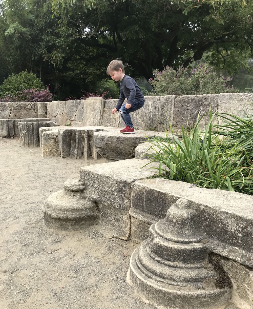 Mom Docent: A Quiet Retreat to the Botanical Garden Library and Terrace