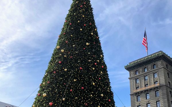 Out & About: There's no Place Like the Bay Area for the Holidays