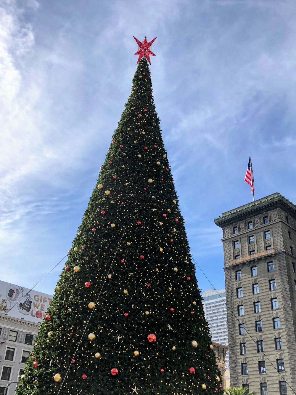 Out & About: There's no Place Like the Bay Area for the Holidays