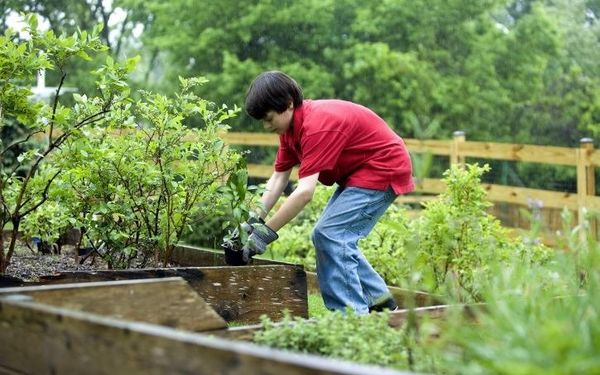 Out & About: Urban Gardening