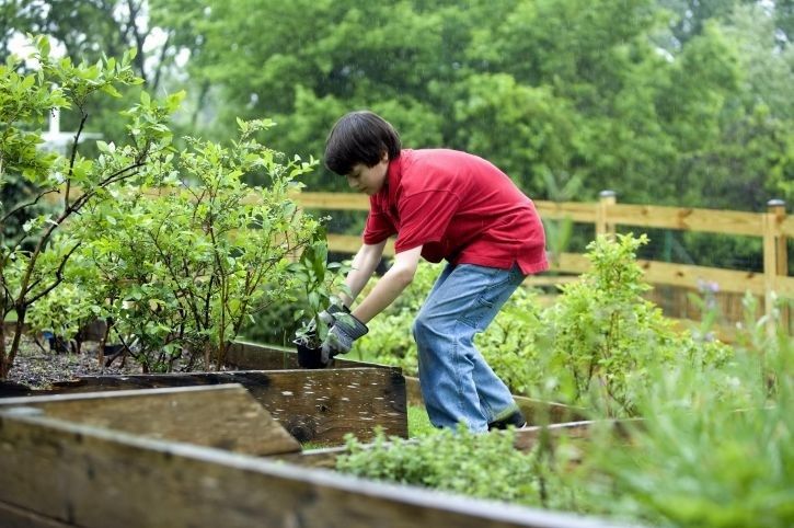 Out & About: Urban Gardening